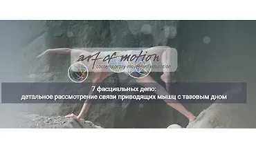 Изображение курса 7 фасциальных депо: детальное рассмотрение связи приводящих мышц с тазовым дном