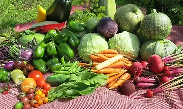 Изображение курса 7 шагов к богатому урожаю