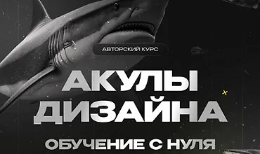 Изображение курса Акулы дизайна, обучение с нуля