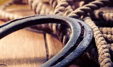 Изображение курса Американский Запад: История, миф и наследие