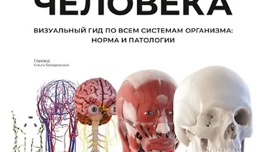 Изображение курса Анатомия человека. Визуальный гид по всем системам организма