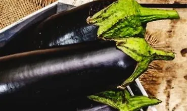 Изображение курса Баклажаны