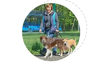 Изображение курса Базовая подготовка к воспитанию и дрессировке собаки