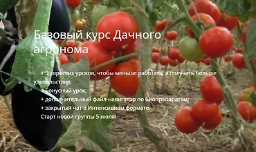 Изображение курса Базовый курс Дачный агроном