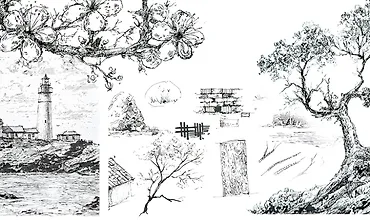 Изображение курса Базовый курс графики. Основы