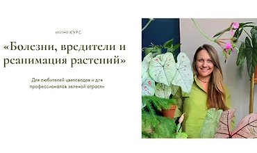 Изображение курса Болезни, вредители и реанимация растений