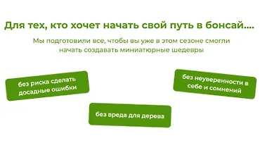 Изображение курса Бонсай своими руками