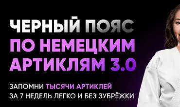 Изображение курса Черный пояс по немецким артиклям 3.0