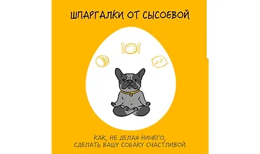 Изображение курса Цифровые Шпаргалки от Сысоевой