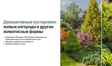 Изображение курса Декоративные кустарники: Живые изгороди и другие живописные формы