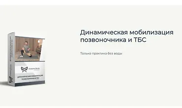 Изображение курса Динамическая мобилизация позвоночника и ТБС