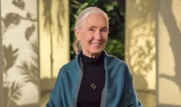 Изображение курса Доктор Джейн Гудолл обучает охране природы