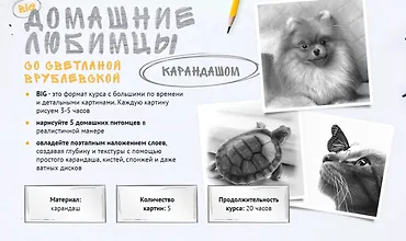 Изображение курса Домашние любимцы