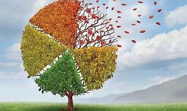 Изображение курса Экономика неопределённости