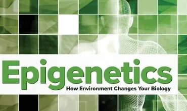 Изображение курса Эпигенетика: как окружающая среда меняет вашу биологию