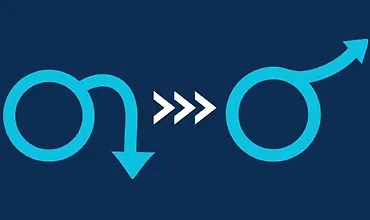 Изображение курса Эрекция+