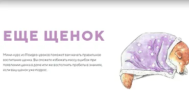 Изображение курса Еще щенок