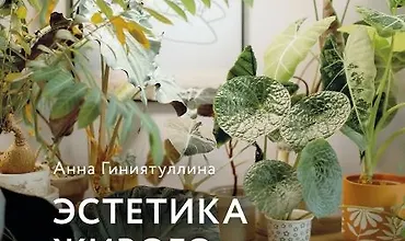 Изображение курса Эстетика живого интерьера. Как создать стильное пространство с помощью комнатных растений