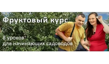 Изображение курса Фруктовый курс