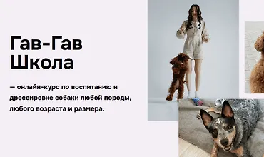 Изображение курса Гав-гав школа 9.0