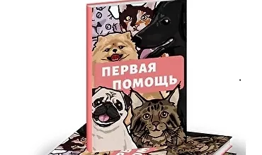 Изображение курса Гайд «Первая помощь питомцу»