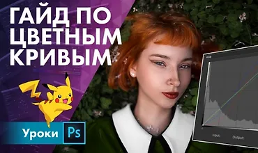 Изображение курса Гайд по цветным кривым