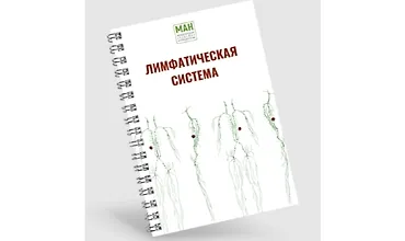 Изображение курса Гайд по работе с лимфой