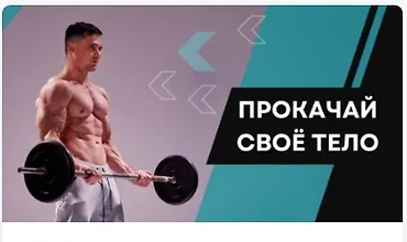 Изображение курса Гайд по тренажерному залу