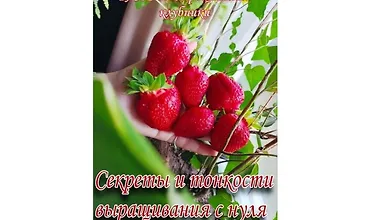 Изображение курса Гайд по выращиванию клубники