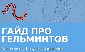 Изображение курса Гайд про гельминтов 