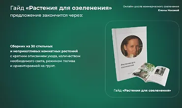Изображение курса Гайд «Растения для озеленения»