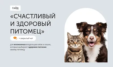 Изображение курса Гайд Счастливый и здоровый питомец