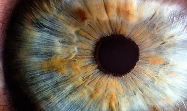 Изображение курса Гимнастика для глаз и концентрации