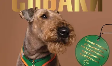 Изображение курса Главная книга владельца собаки