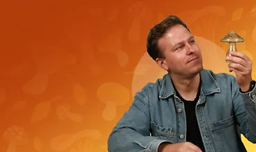 Изображение курса Грибы