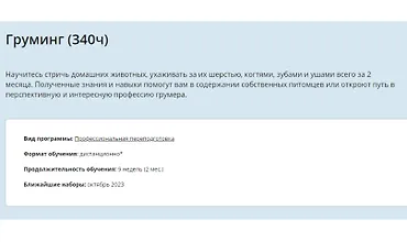 Изображение курса Груминг