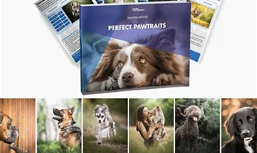 Изображение курса Идеальные портреты животных