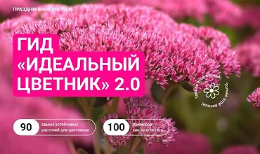 Изображение курса Идеальный цветник 2.0