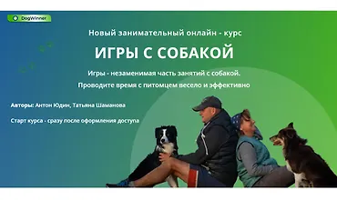 Изображение курса Игры с собакой