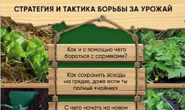 Изображение курса Как не потеряться среди сорняков. Стратегия и тактика борьбы за урожай