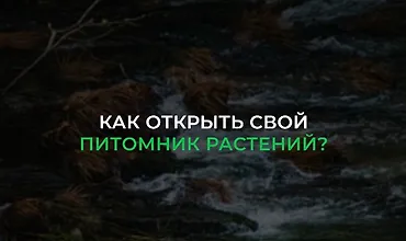 Изображение курса Как открыть свой питомник растений?