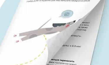 Изображение курса Как приучить щенка к чистоплотности