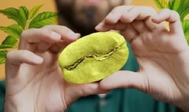 Изображение курса Как Разобраться в Кофе (ч.2) - Стань Экспертом за 4 часа!