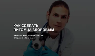 Изображение курса Как сделать питомца здоровым. 12 поток