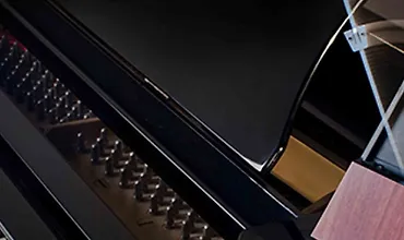 Изображение курса Как связаны музыка и математика