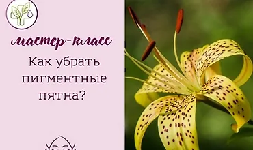 Изображение курса Как убрать пигментные пятна
