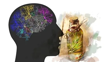 Изображение курса Как выйти из сети пассивного режима мозга с помощью Ароматерапии