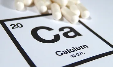 Изображение курса Кальций великий и могучий