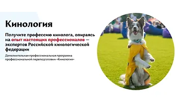 Изображение курса Кинология