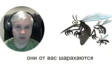 Изображение курса Клещи, комары, клопы и мошка - как защитить людей и животных с помощью эфирных масел?